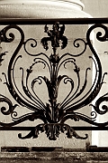 Wall_Art_Alphabet_Photography_Art_ 2281